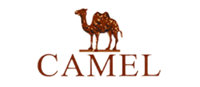 Camel骆驼