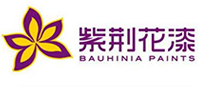 Bauhinia紫荆花漆